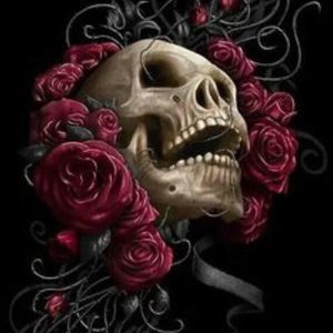 Meet your Posher, Angelo